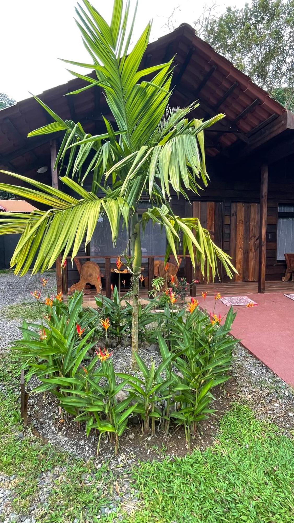 La Fortuna Waterfall Bungalows Extérieur photo